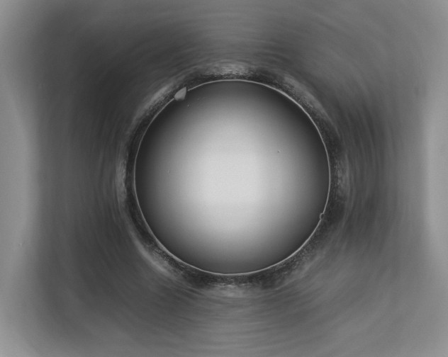 X0000112790538200908211115