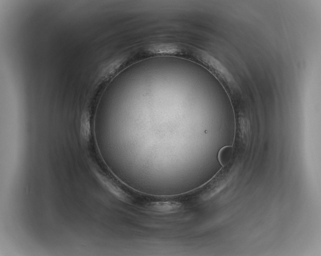 X0000112790541200908211115