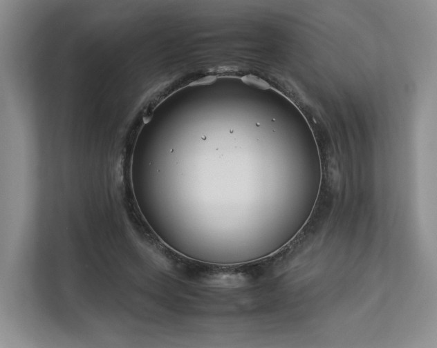 X0000112790543200908211115