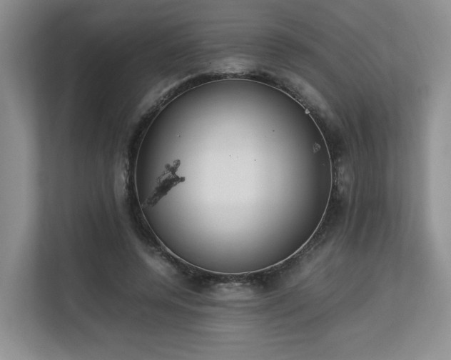 X0000112790544200908211115