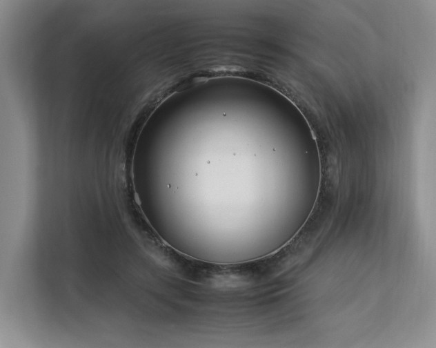 X0000112790547200908211115