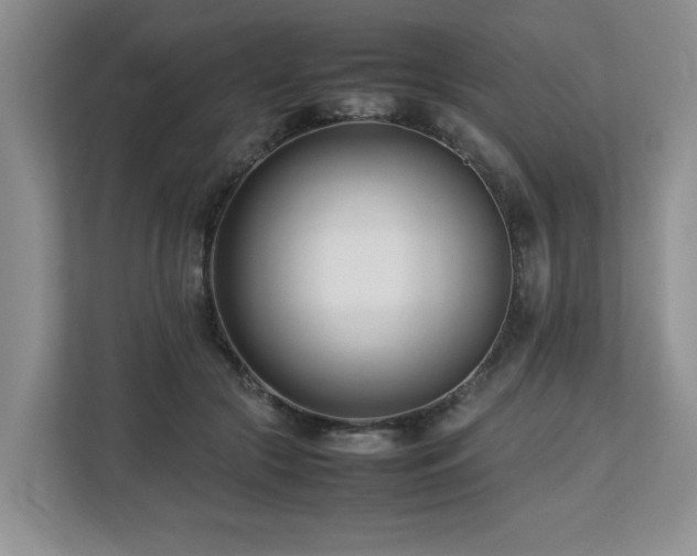 X0000112790553200908211115