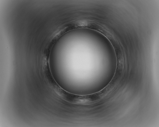 X0000112790555200908211115
