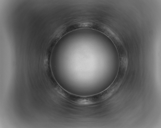 X0000112790557200908211115