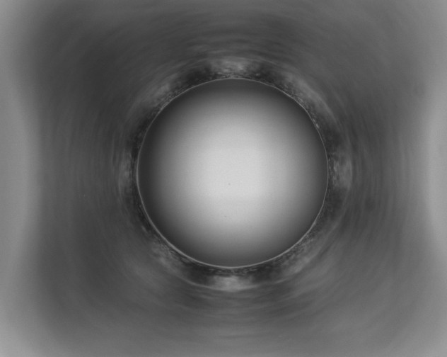 X0000112790561200908211116