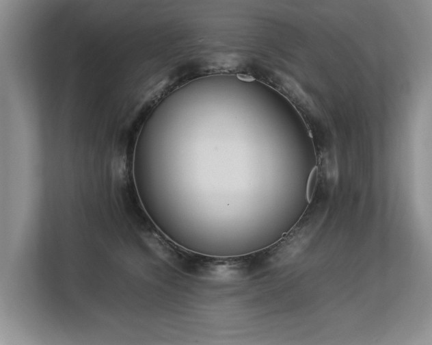 X0000112790564200908211116