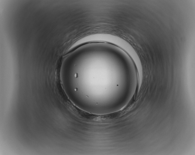 X0000112790568200908211116