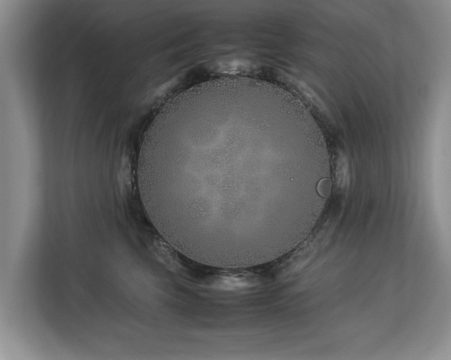 X0000112790569200908211116