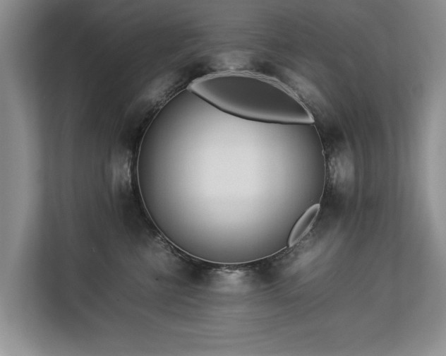 X0000112790570200908211116