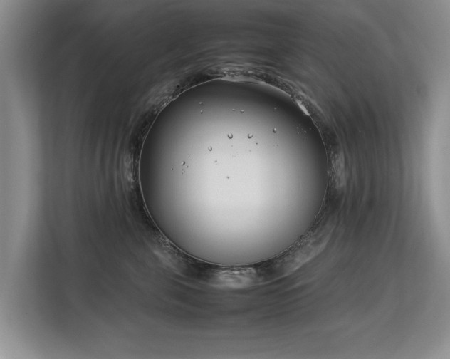 X0000112790571200908211116