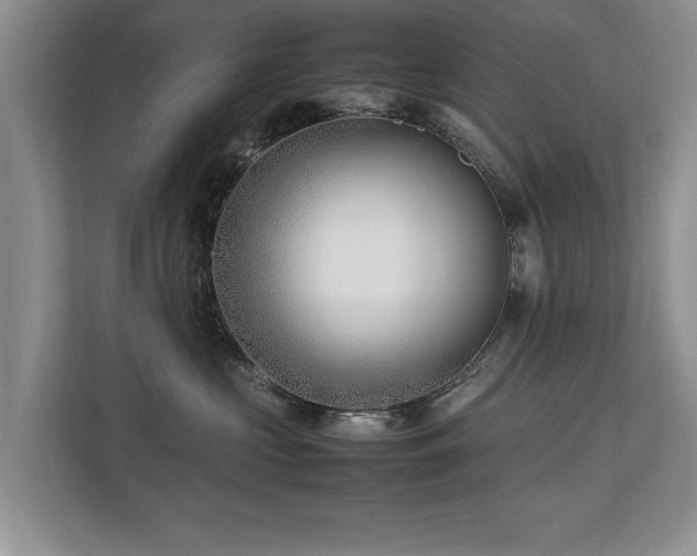 X0000112790573200908211116