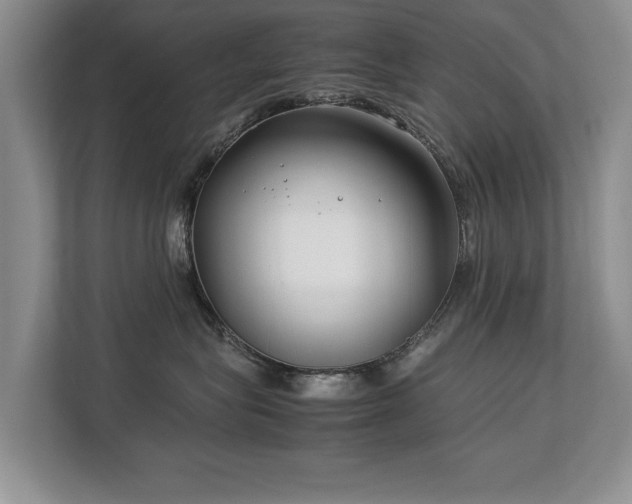 X0000112790575200908211116