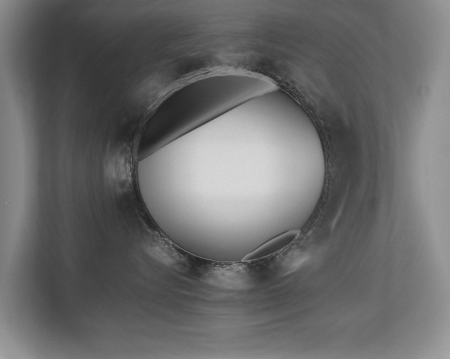 X0000112790576200908211116