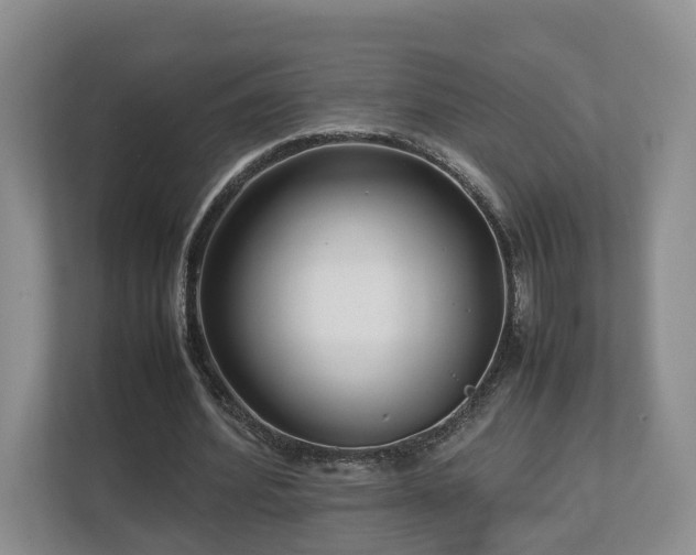 X0000112790580200908211115