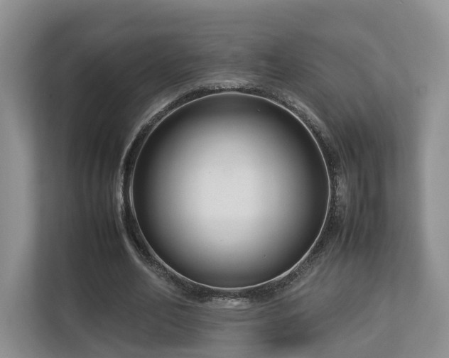 X0000112790582200908211115