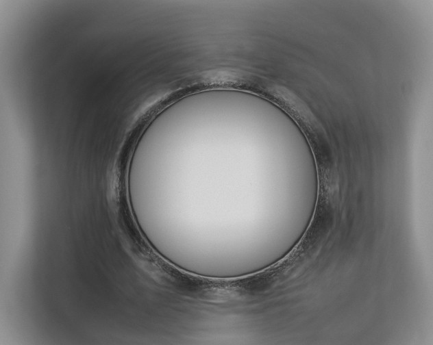 X0000112790583200908211115