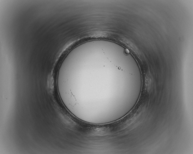 X0000112790584200908211115