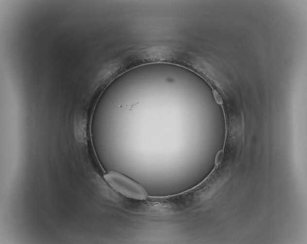 X0000112790585200908211115