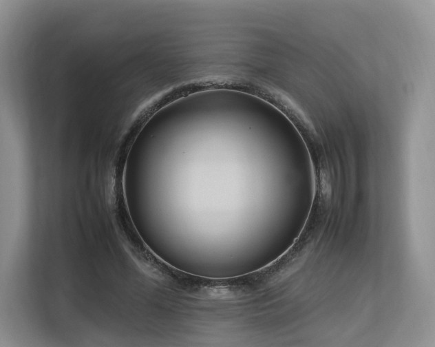 X0000112790588200908211115