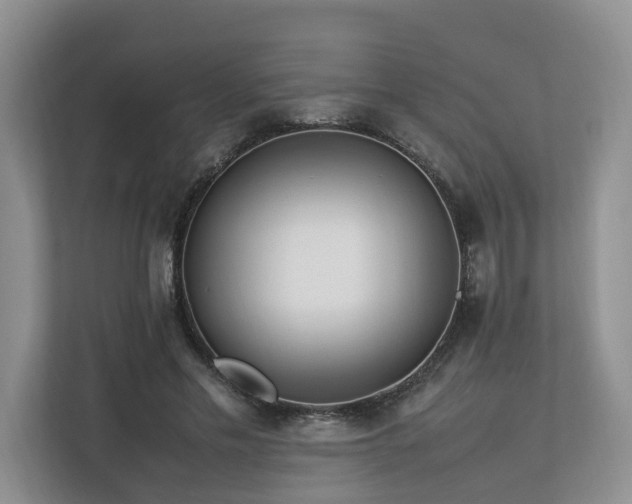 X0000112790589200908211115