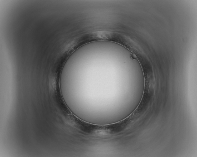 X0000112790595200908211115