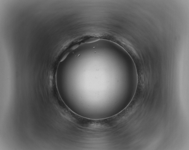 X0000112790596200908211115