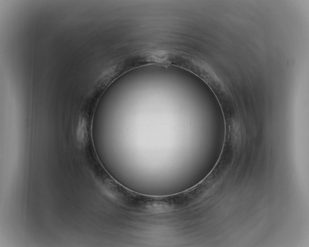 X0000112790598200908211115