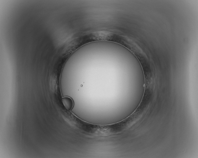 X0000112790599200908211115