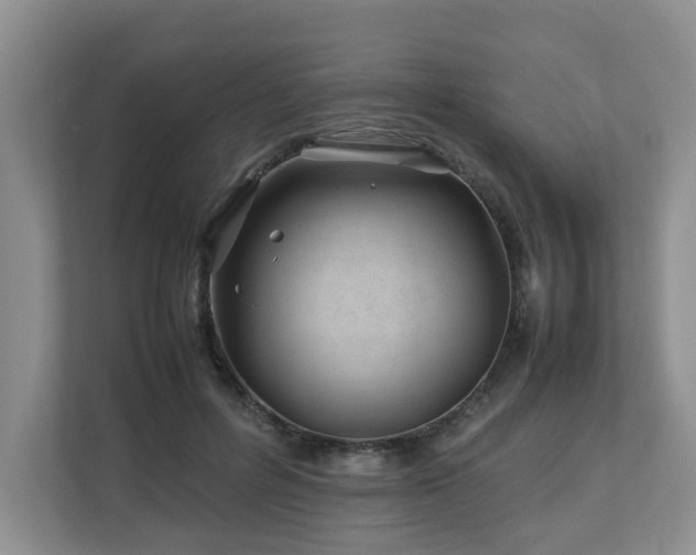 X0000112790600200908211115