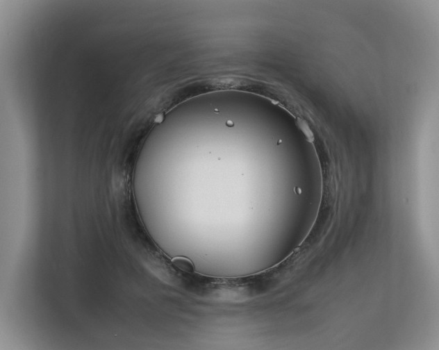 X0000112790601200908211115