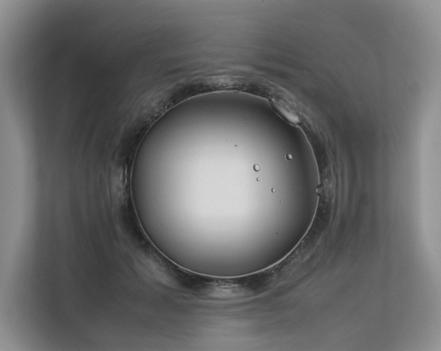 X0000112790605200908211115