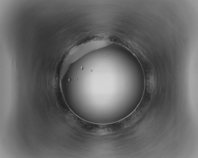 X0000112790608200908211115