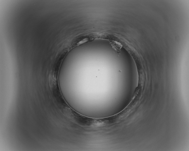 X0000112790613200908211115