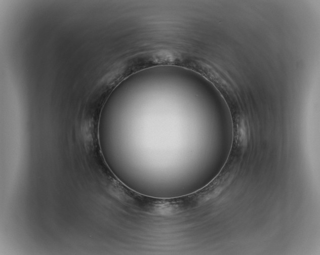 X0000112790616200908211115