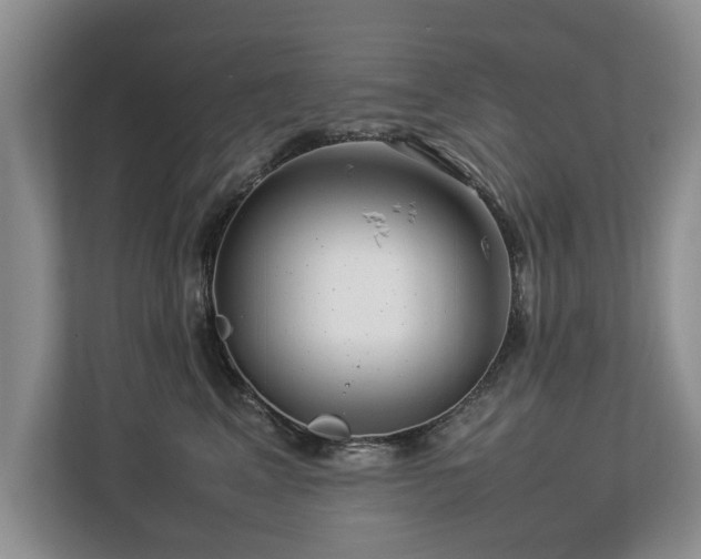 X0000112790617200908211115