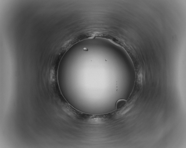 X0000112790620200908211115