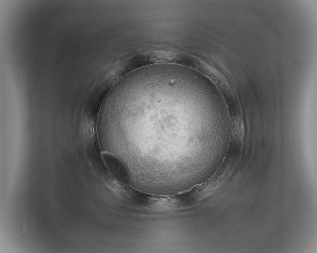 X0000112790621200908211115