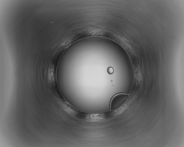 X0000112790622200908211115