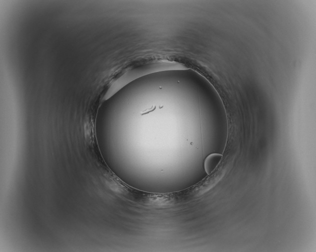 X0000112790624200908211114
