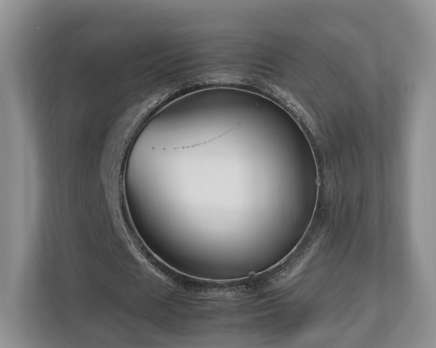 X0000112790625200908211114