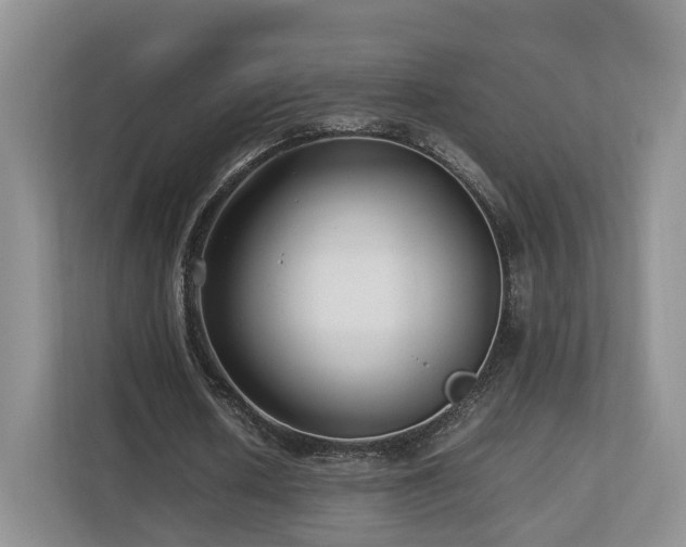 X0000112790626200908211114
