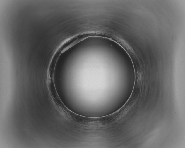 X0000112790628200908211114