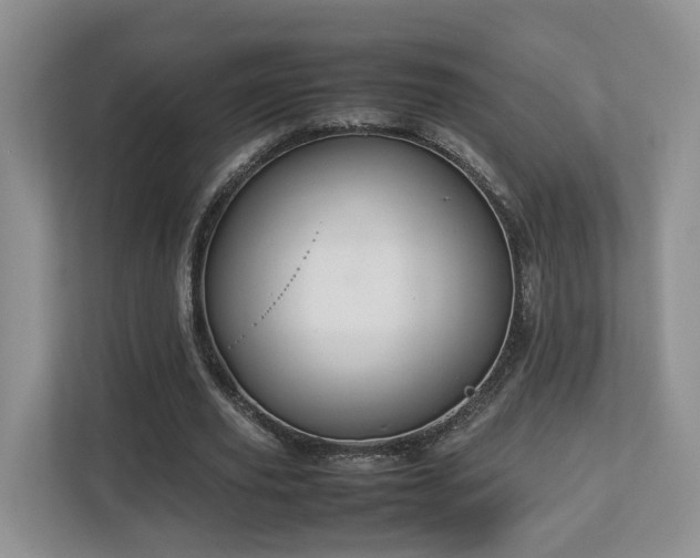 X0000112790629200908211114