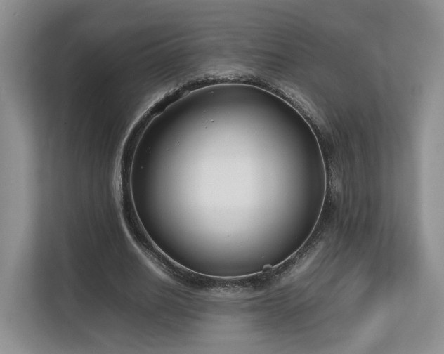 X0000112790630200908211114