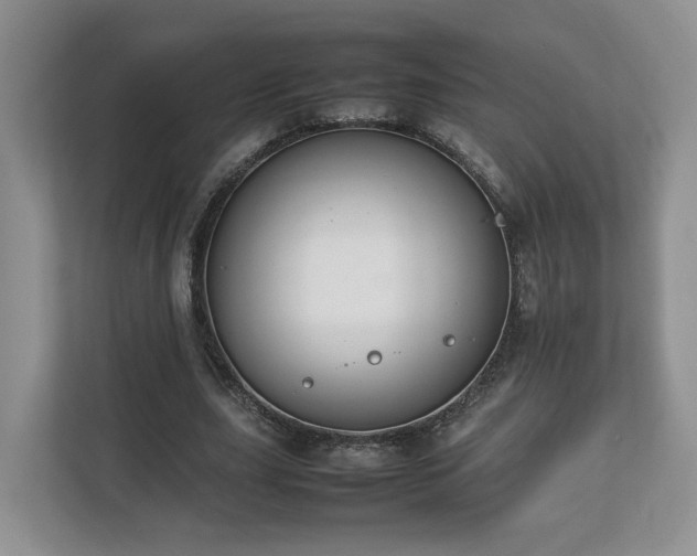 X0000112790631200908211114