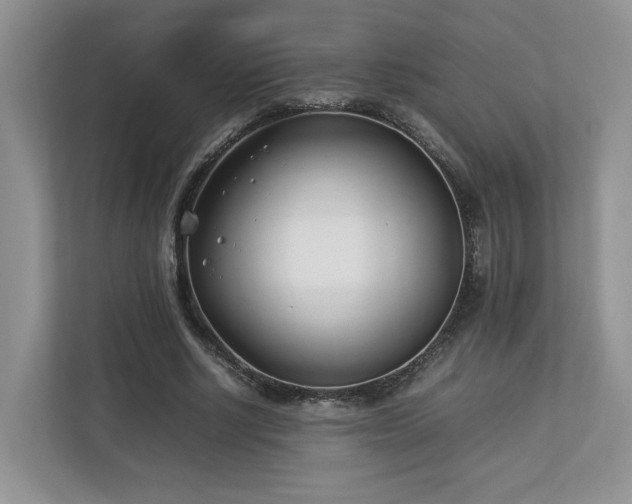 X0000112790634200908211114