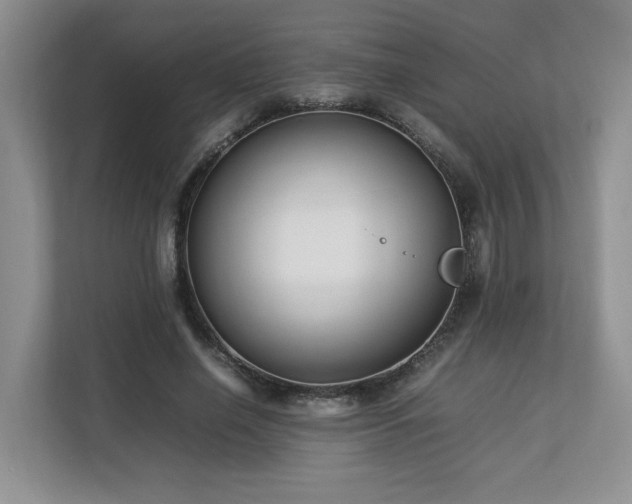 X0000112790638200908211114