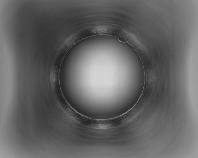 X0000112790645200908211114