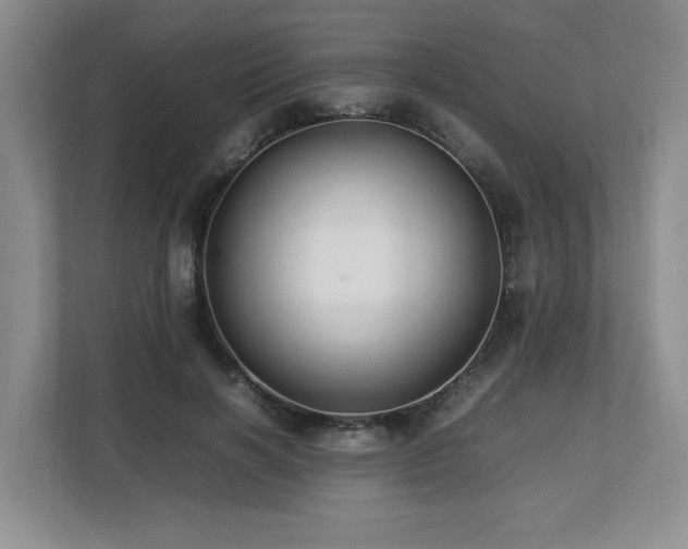 X0000112790646200908211114