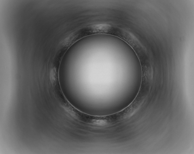 X0000112790649200908211114